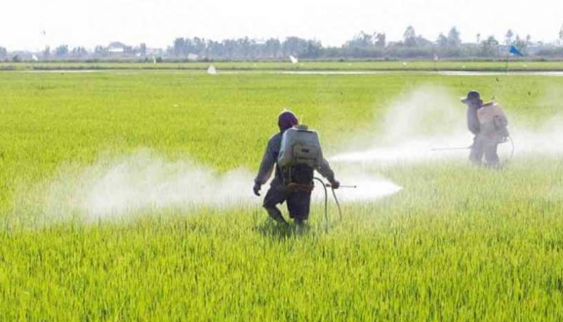 coltivatori-usano-glifosato-Monsanto