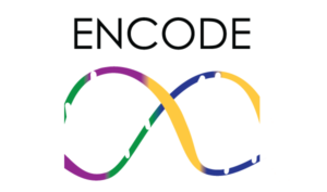 Logo del progetto ENCODE